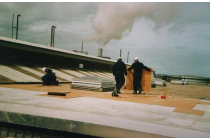 Employees boarding roof