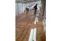 Taping joints on boards prior to Fibreglass flat roof - Carmarthen